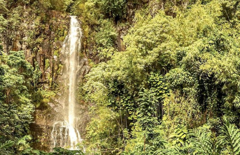 waterfall in maui